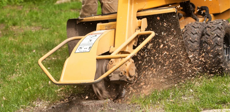 Stump Grinding Stump Grinding